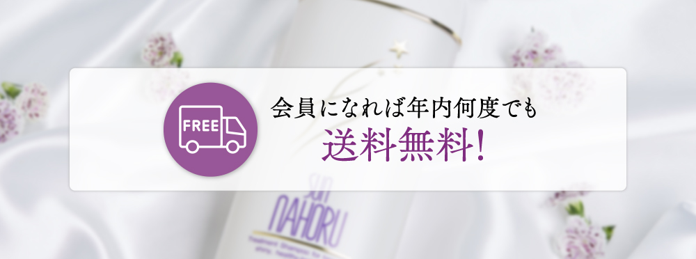会員になれば年内何度でも送料無料